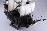 Aoshima Ship Models 1/100 Pirate Ship Kit